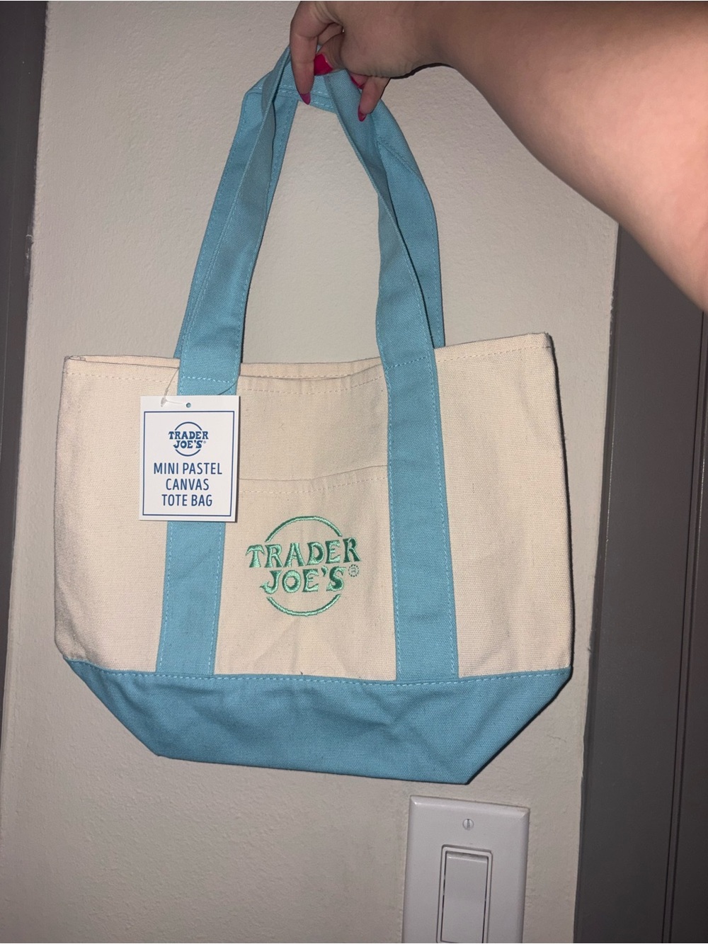 Trader Joes Mini Pastel Canvas Tote Bag - Light Blue